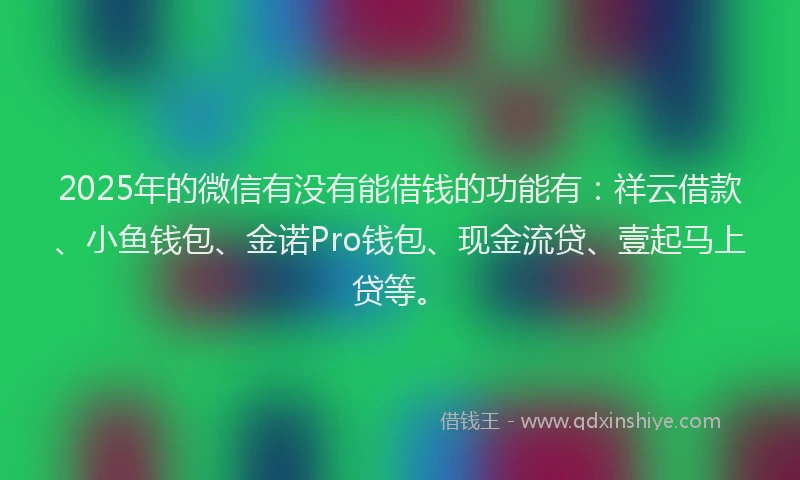 2025年的微信有没有能借钱的功能有：祥云借款、小鱼钱包、金诺Pro钱包、现金流贷、壹起马上贷等。