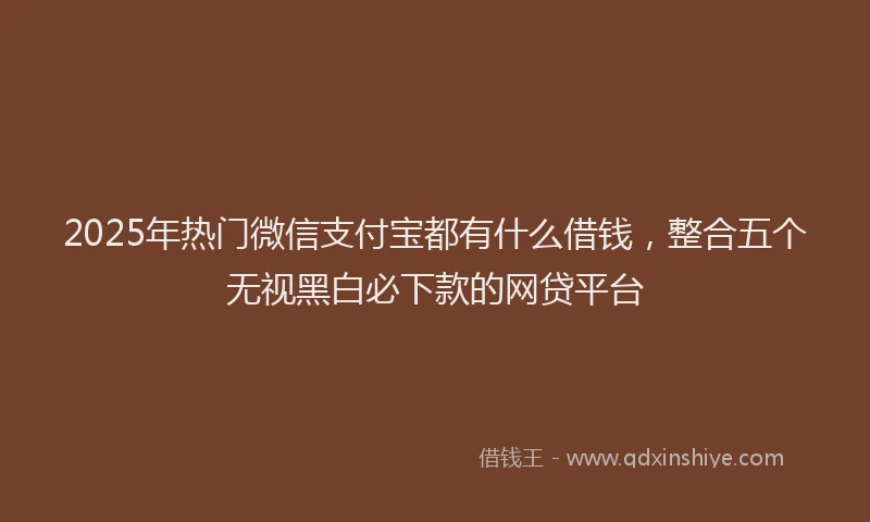 2025年热门微信支付宝都有什么借钱，整合五个无视黑白必下款的网贷平台