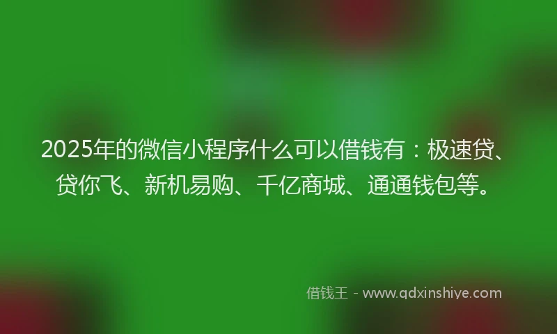 2025年的微信小程序什么可以借钱有：极速贷、贷你飞、新机易购、千亿商城、通通钱包等。