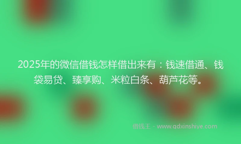 2025年的微信借钱怎样借出来有：钱速借通、钱袋易贷、臻享购、米粒白条、葫芦花等。