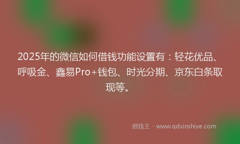 2025年的微信如何借钱功能设置有：轻花优品、呼吸金、鑫易Pro+钱包、时光分期、京东白条取现等。