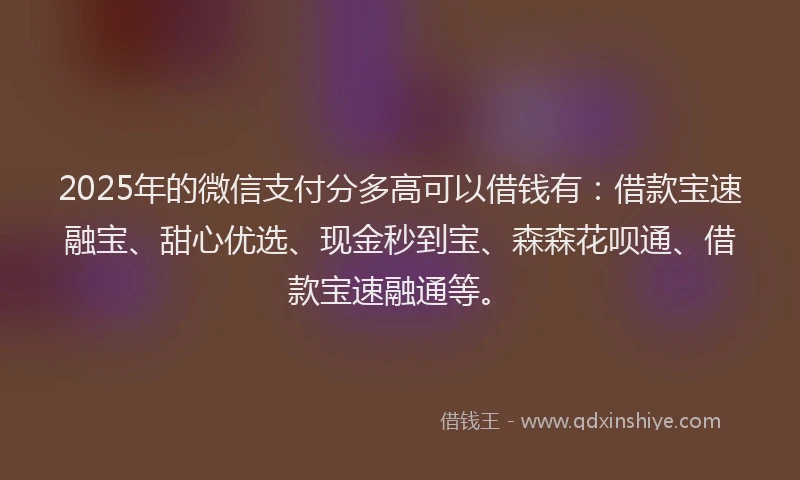2025年的微信支付分多高可以借钱有：借款宝速融宝、甜心优选、现金秒到宝、森森花呗通、借款宝速融通等。