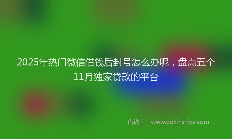 2025年热门微信借钱后封号怎么办呢，盘点五个11月独家贷款的平台