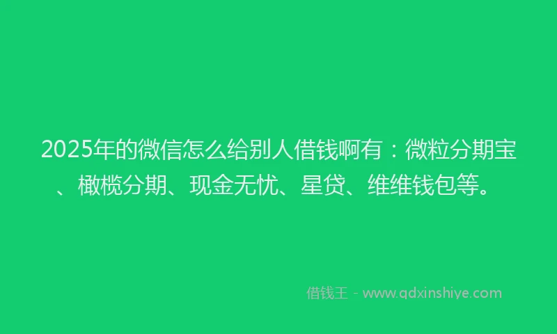 2025年的微信怎么给别人借钱啊有：微粒分期宝、橄榄分期、现金无忧、星贷、维维钱包等。