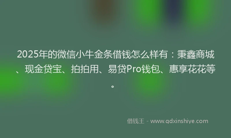 2025年的微信小牛金条借钱怎么样有：秉鑫商城、现金贷宝、拍拍用、易贷Pro钱包、惠享花花等。