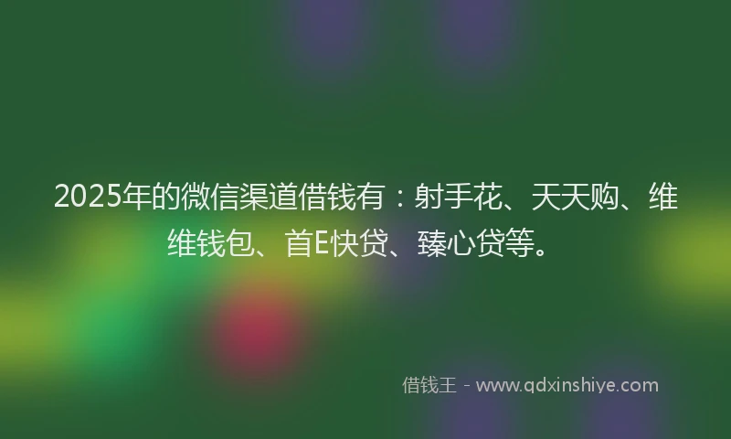 2025年的微信渠道借钱有：射手花、天天购、维维钱包、首E快贷、臻心贷等。