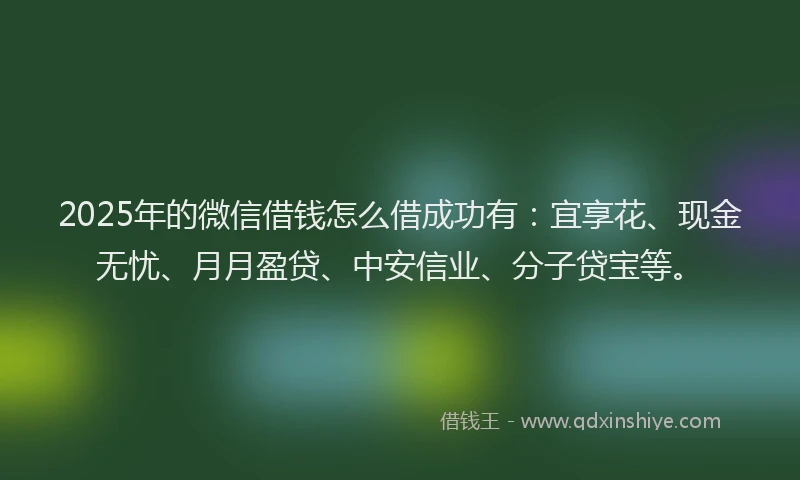 2025年的微信借钱怎么借成功有：宜享花、现金无忧、月月盈贷、中安信业、分子贷宝等。