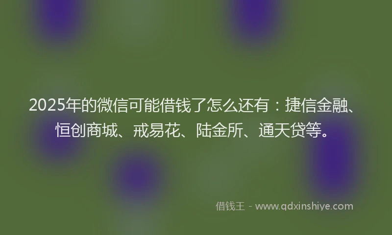 2025年的微信可能借钱了怎么还有：捷信金融、恒创商城、戒易花、陆金所、通天贷等。