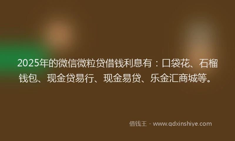 2025年的微信微粒贷借钱利息有：口袋花、石榴钱包、现金贷易行、现金易贷、乐金汇商城等。