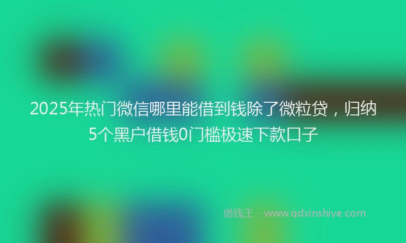 2025年热门微信哪里能借到钱除了微粒贷，归纳5个黑户借钱0门槛极速下款口子