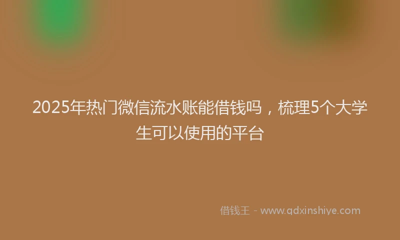 2025年热门微信流水账能借钱吗，梳理5个大学生可以使用的平台