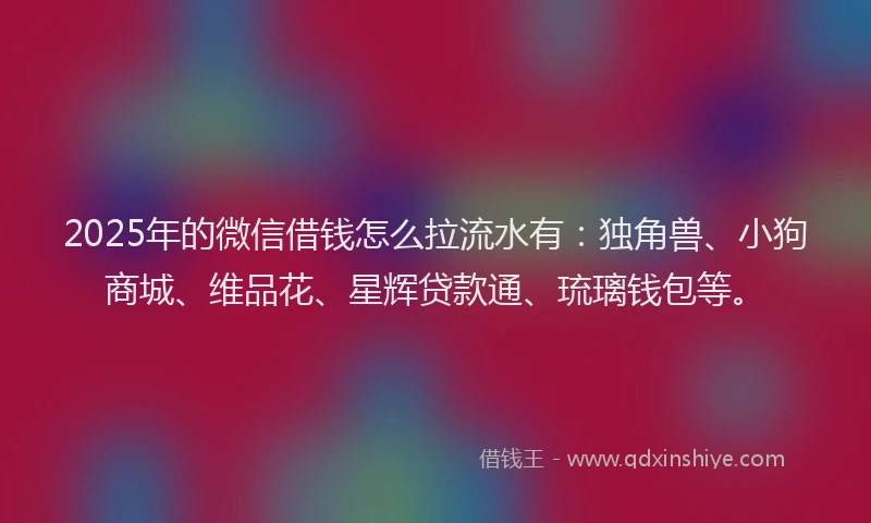 2025年的微信借钱怎么拉流水有：独角兽、小狗商城、维品花、星辉贷款通、琉璃钱包等。
