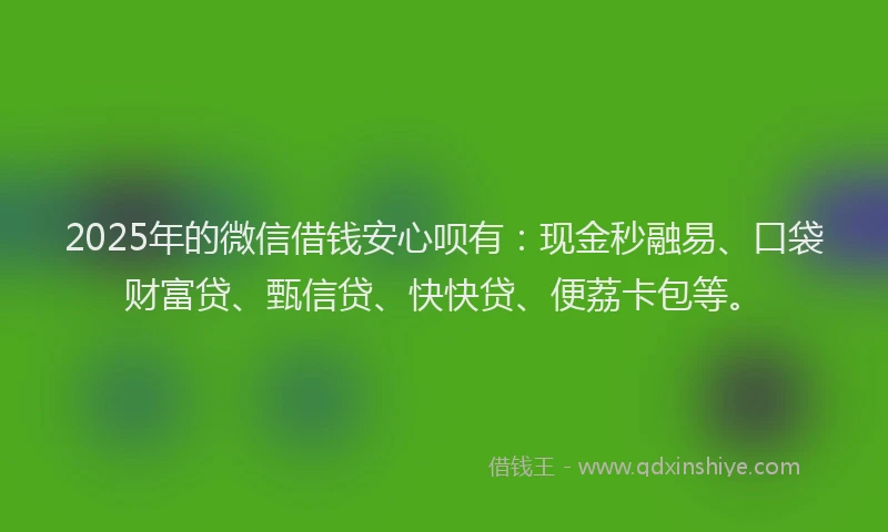 2025年的微信借钱安心呗有：现金秒融易、口袋财富贷、甄信贷、快快贷、便荔卡包等。