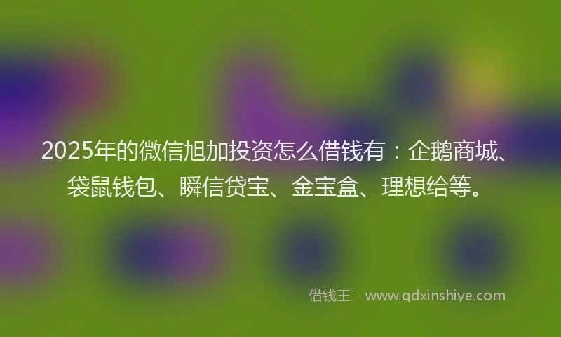 2025年的微信旭加投资怎么借钱有：企鹅商城、袋鼠钱包、瞬信贷宝、金宝盒、理想给等。