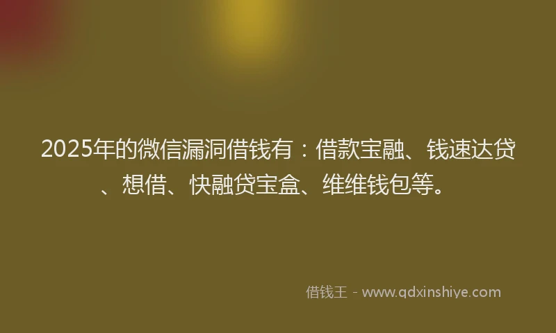 2025年的微信漏洞借钱有：借款宝融、钱速达贷、想借、快融贷宝盒、维维钱包等。