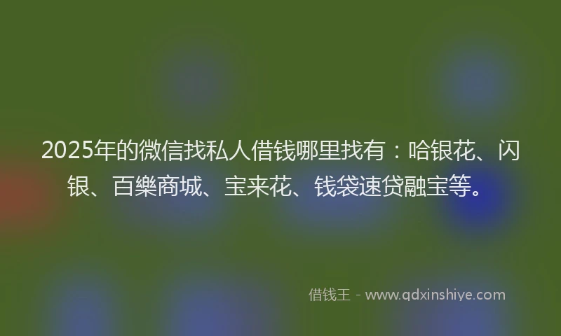 2025年的微信找私人借钱哪里找有：哈银花、闪银、百樂商城、宝来花、钱袋速贷融宝等。