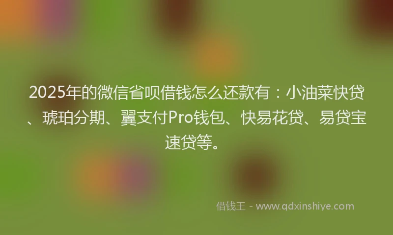 2025年的微信省呗借钱怎么还款有：小油菜快贷、琥珀分期、翼支付Pro钱包、快易花贷、易贷宝速贷等。