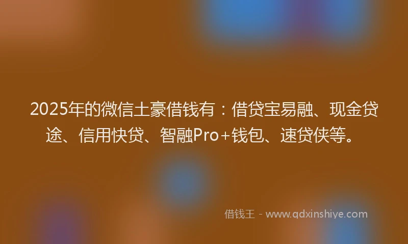 2025年的微信土豪借钱有：借贷宝易融、现金贷途、信用快贷、智融Pro+钱包、速贷侠等。
