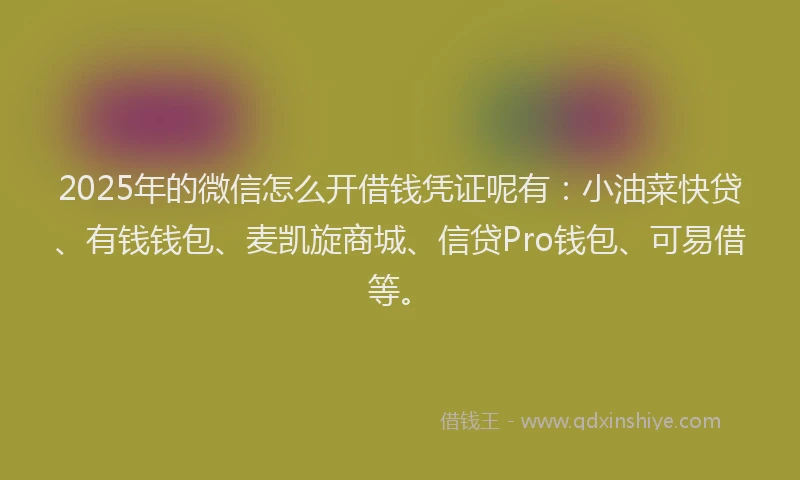 2025年的微信怎么开借钱凭证呢有：小油菜快贷、有钱钱包、麦凯旋商城、信贷Pro钱包、可易借等。