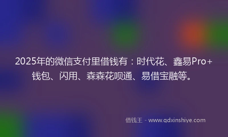 2025年的微信支付里借钱有：时代花、鑫易Pro+钱包、闪用、森森花呗通、易借宝融等。