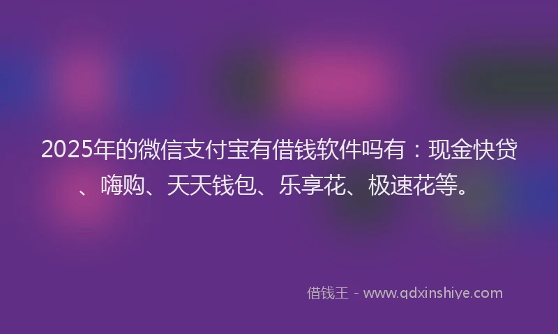 2025年的微信支付宝有借钱软件吗有：现金快贷、嗨购、天天钱包、乐享花、极速花等。