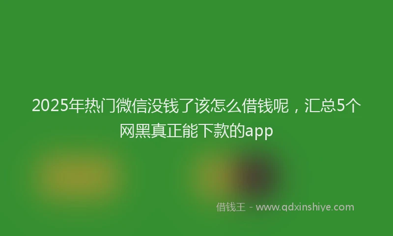 2025年热门微信没钱了该怎么借钱呢，汇总5个网黑真正能下款的app