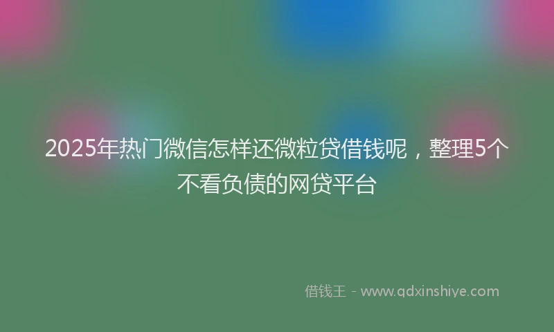 2025年热门微信怎样还微粒贷借钱呢，整理5个不看负债的网贷平台
