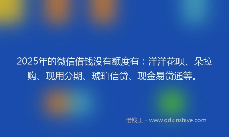 2025年的微信借钱没有额度有：洋洋花呗、朵拉购、现用分期、琥珀信贷、现金易贷通等。