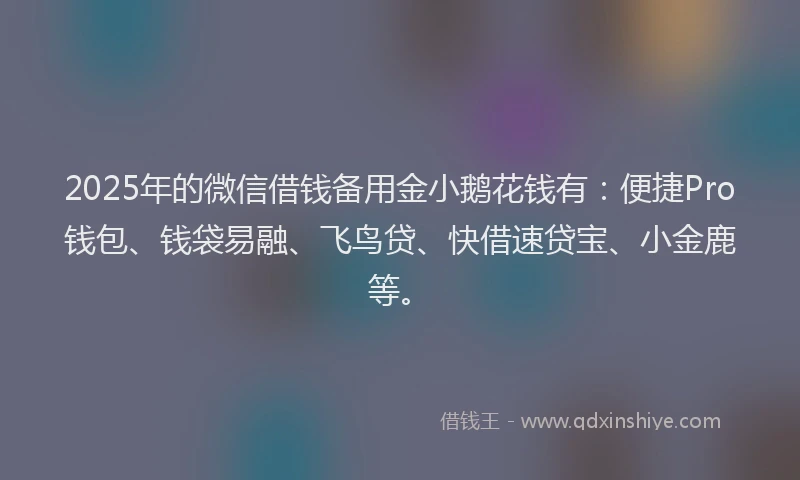 2025年的微信借钱备用金小鹅花钱有：便捷Pro钱包、钱袋易融、飞鸟贷、快借速贷宝、小金鹿等。