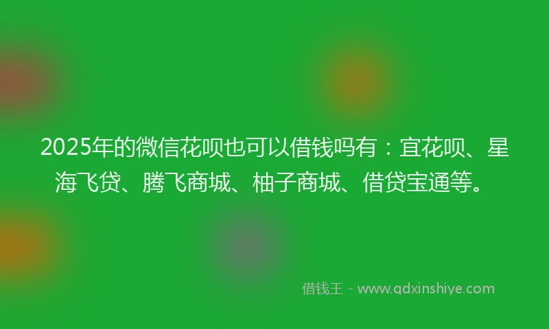 2025年的微信花呗也可以借钱吗有：宜花呗、星海飞贷、腾飞商城、柚子商城、借贷宝通等。
