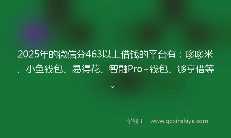 2025年的微信分463以上借钱的平台有：哆哆米、小鱼钱包、易得花、智融Pro+钱包、够享借等。