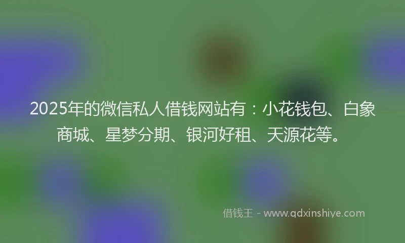 2025年的微信私人借钱网站有：小花钱包、白象商城、星梦分期、银河好租、天源花等。