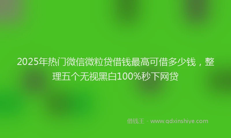 2025年热门微信微粒贷借钱最高可借多少钱，整理五个无视黑白100%秒下网贷