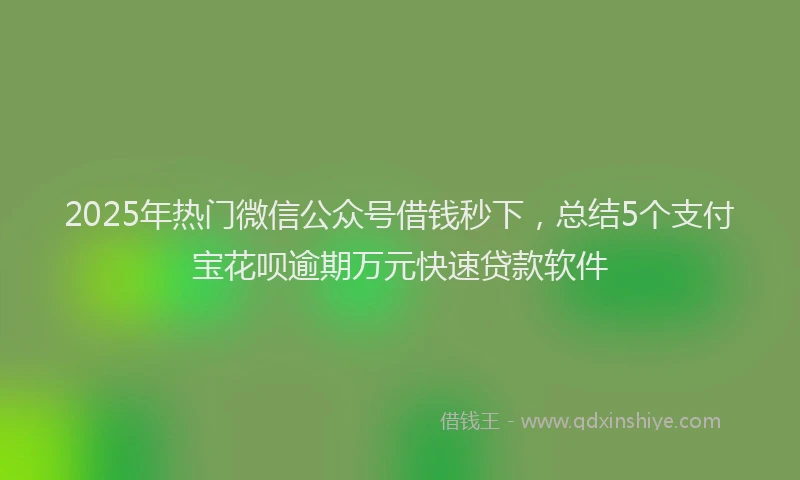 2025年热门微信公众号借钱秒下，总结5个支付宝花呗逾期万元快速贷款软件