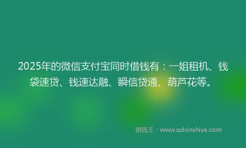 2025年的微信支付宝同时借钱有：一姐租机、钱袋速贷、钱速达融、瞬信贷通、葫芦花等。