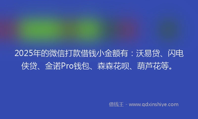 2025年的微信打款借钱小金额有：沃易贷、闪电侠贷、金诺Pro钱包、森森花呗、葫芦花等。