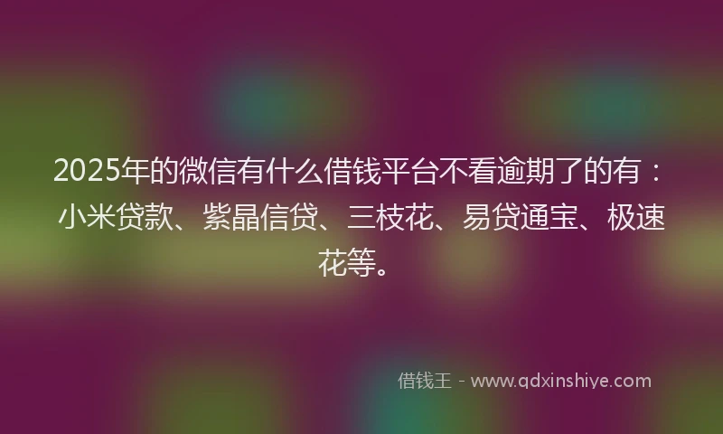 2025年的微信有什么借钱平台不看逾期了的有：小米贷款、紫晶信贷、三枝花、易贷通宝、极速花等。