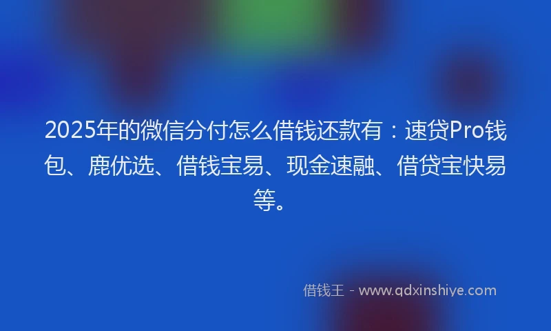 2025年的微信分付怎么借钱还款有：速贷Pro钱包、鹿优选、借钱宝易、现金速融、借贷宝快易等。