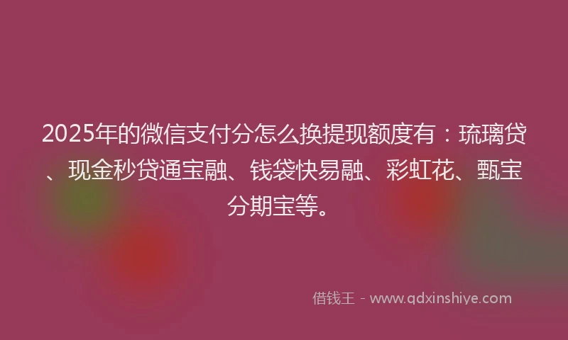 2025年的微信支付分怎么换提现额度有：琉璃贷、现金秒贷通宝融、钱袋快易融、彩虹花、甄宝分期宝等。