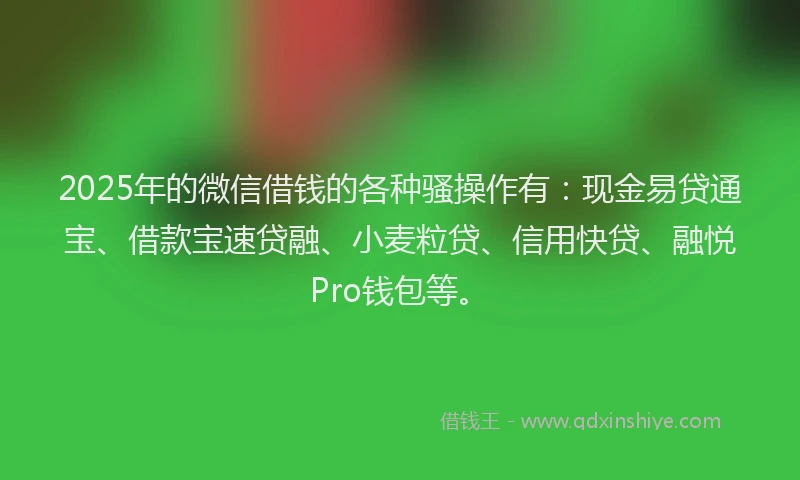 2025年的微信借钱的各种骚操作有：现金易贷通宝、借款宝速贷融、小麦粒贷、信用快贷、融悦Pro钱包等。