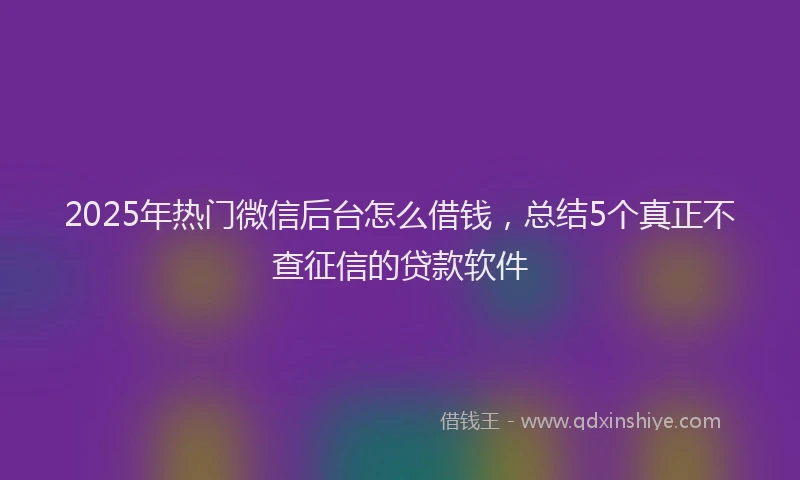 2025年热门微信后台怎么借钱，总结5个真正不查征信的贷款软件