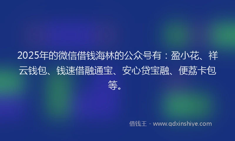 2025年的微信借钱海林的公众号有：盈小花、祥云钱包、钱速借融通宝、安心贷宝融、便荔卡包等。