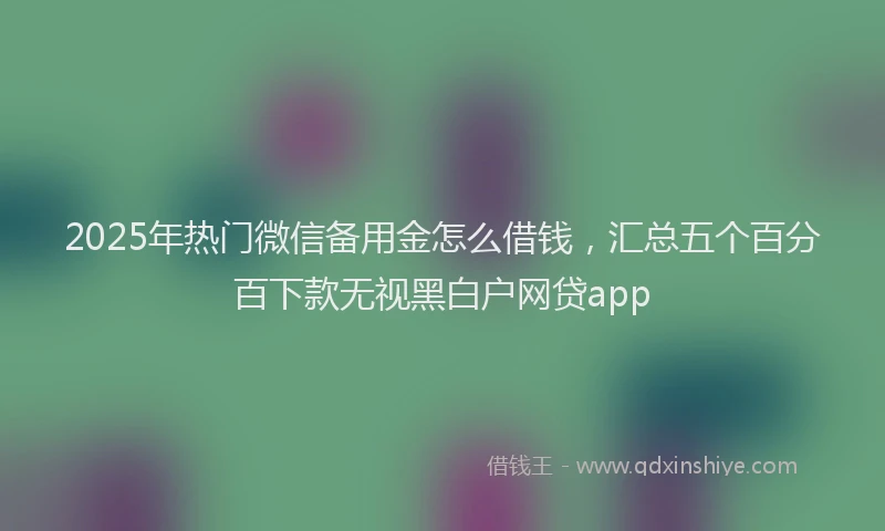 2025年热门微信备用金怎么借钱，汇总五个百分百下款无视黑白户网贷app