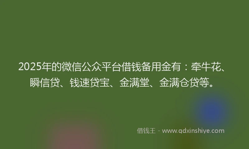 2025年的微信公众平台借钱备用金有：牵牛花、瞬信贷、钱速贷宝、金满堂、金满仓贷等。