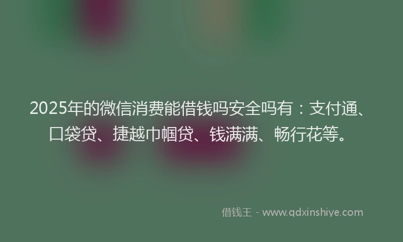 2025年的微信消费能借钱吗安全吗有：支付通、口袋贷、捷越巾帼贷、钱满满、畅行花等。