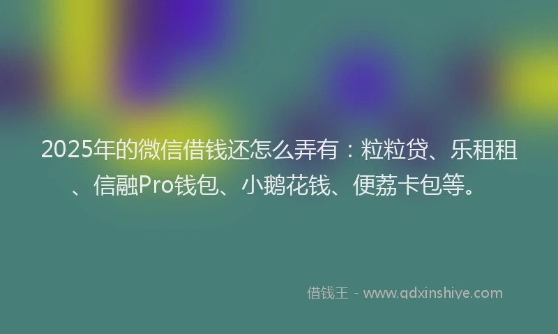 2025年的微信借钱还怎么弄有：粒粒贷、乐租租、信融Pro钱包、小鹅花钱、便荔卡包等。