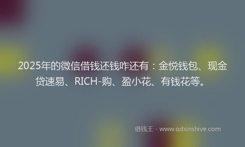 2025年的微信借钱还钱咋还有：金悦钱包、现金贷速易、RICH-购、盈小花、有钱花等。