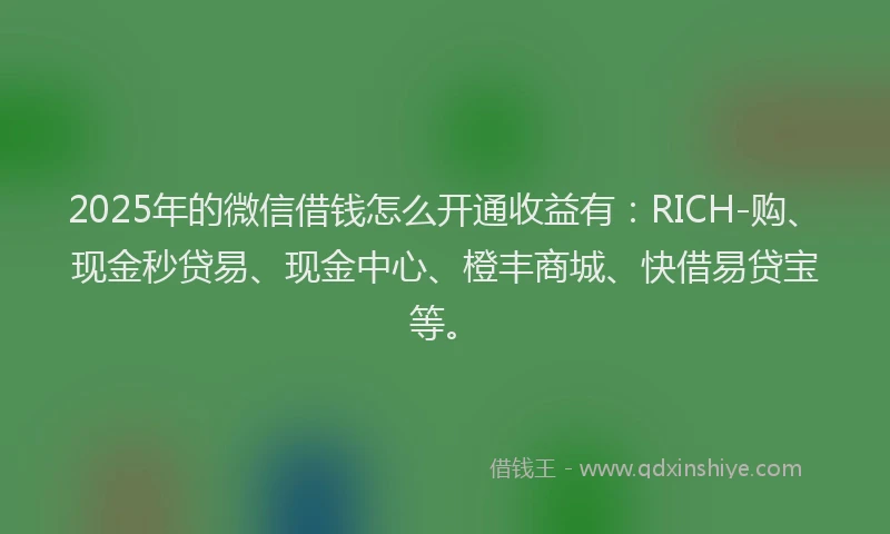 2025年的微信借钱怎么开通收益有：RICH-购、现金秒贷易、现金中心、橙丰商城、快借易贷宝等。