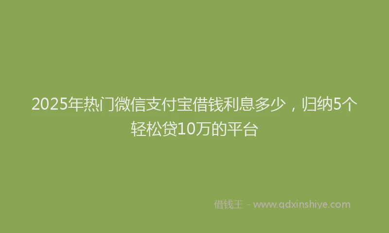 2025年热门微信支付宝借钱利息多少，归纳5个轻松贷10万的平台