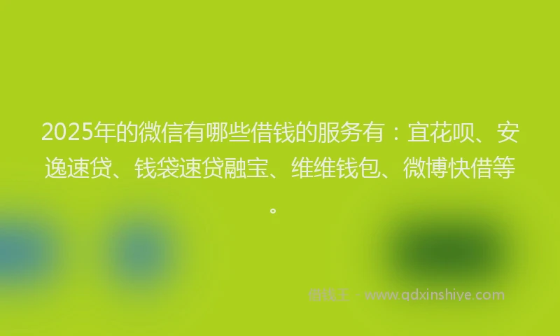 2025年的微信有哪些借钱的服务有：宜花呗、安逸速贷、钱袋速贷融宝、维维钱包、微博快借等。